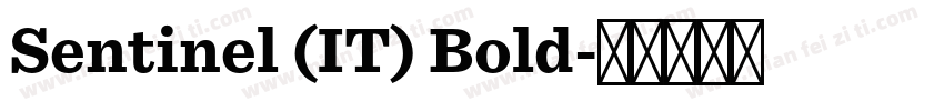 Sentinel (IT) Bold字体转换